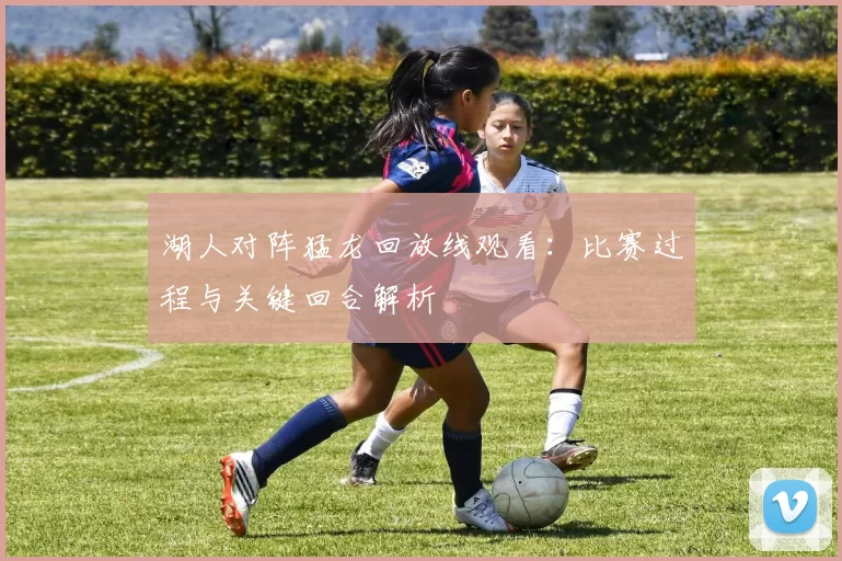 湖人对阵猛龙回放线观看：比赛过程与关键回合解析