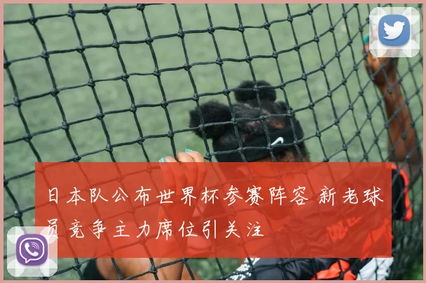 日本队公布世界杯参赛阵容 新老球员竞争主力席位引关注