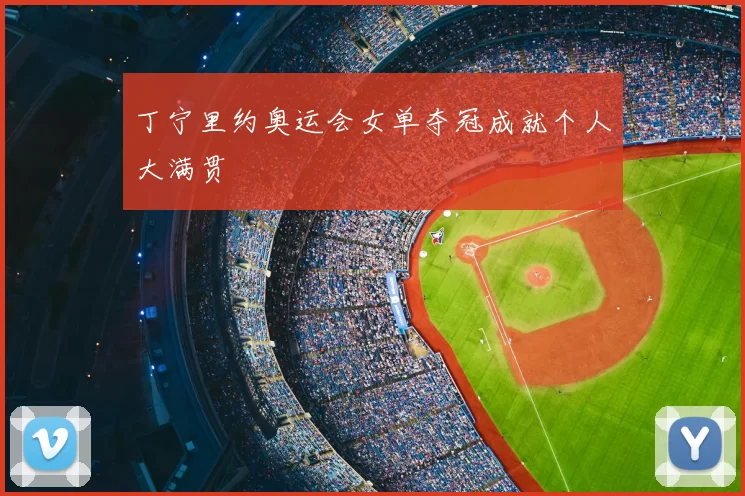 丁宁里约奥运会女单夺冠成就个人大满贯