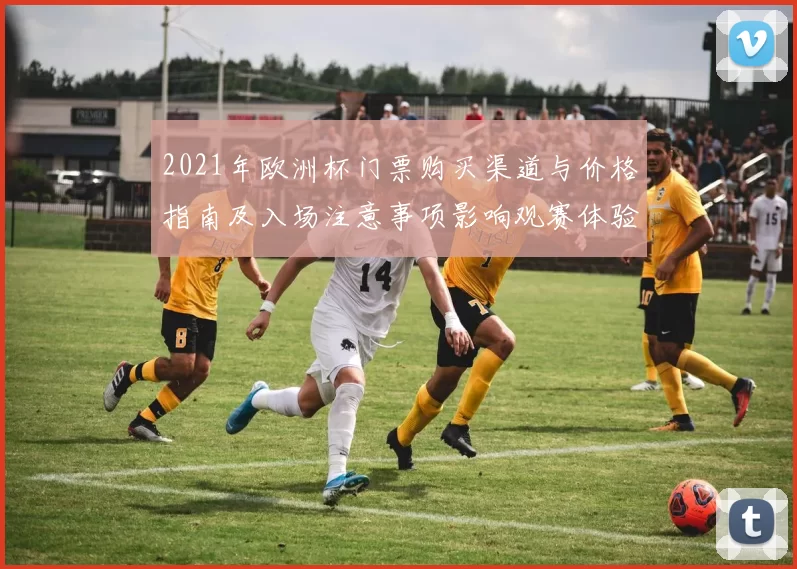 2021年欧洲杯门票购买渠道与价格指南及入场注意事项影响观赛体验