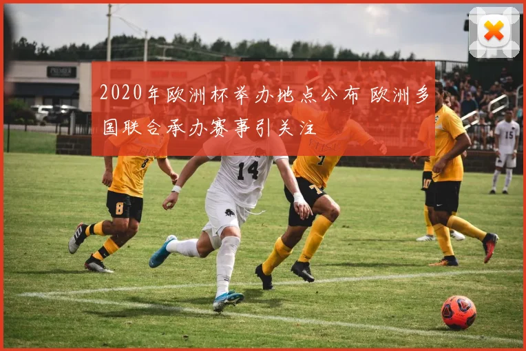 2020年欧洲杯举办地点公布 欧洲多国联合承办赛事引关注