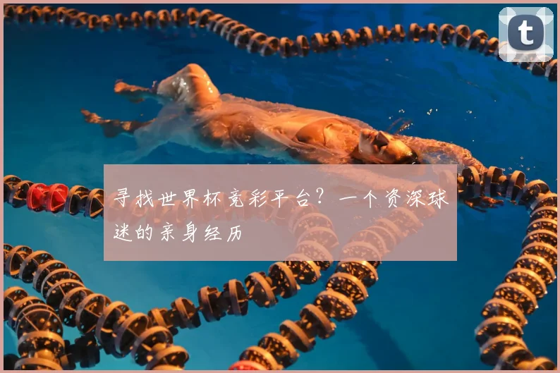 寻找世界杯竞彩平台?一个资深球迷的亲身经历
