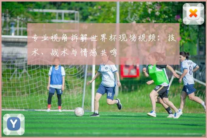 专业视角拆解世界杯现场视频：技术、战术与情感共鸣