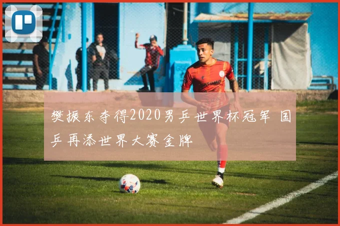 樊振东夺得2020男乒世界杯冠军 国乒再添世界大赛金牌