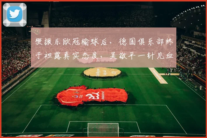 樊振东欧冠输球后，德国俱乐部终于袒露真实态度，吴敬平一针见血_决赛_勒布伦_1