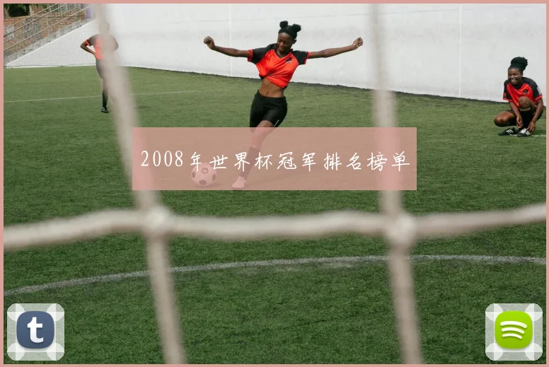 2008年世界杯冠军排名榜单