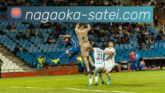 九游j9官方网站APP 高清赛事图